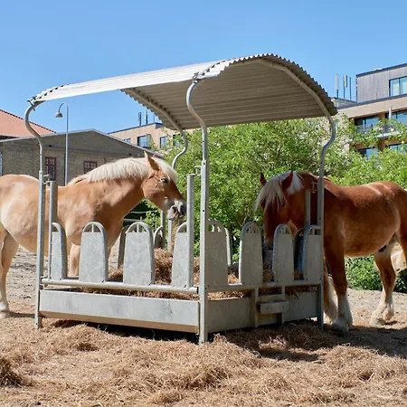 Apartmán Aday - Modern Cozy And Functional 1 Bedroom